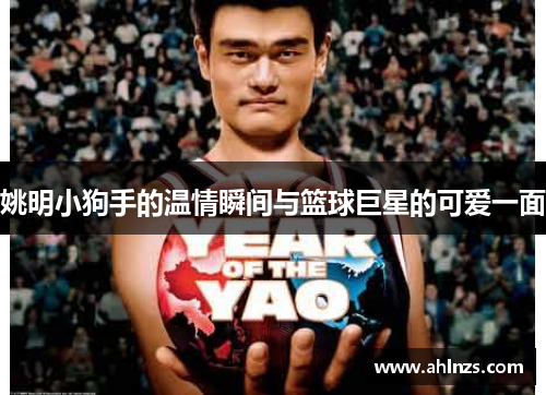 姚明小狗手的温情瞬间与篮球巨星的可爱一面